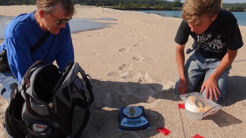 Mary Bomberger Brown and Ian Hoppe weighing a tern chick