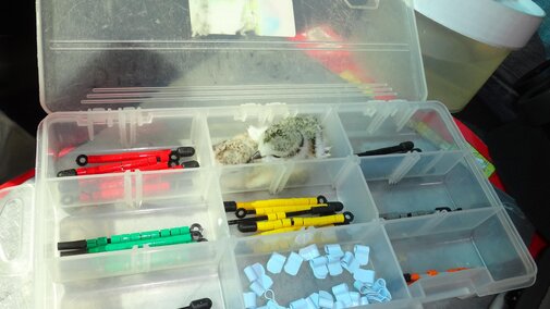 Out color bands with two plover chicks waiting to get banded