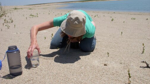 Melissa Panella floating a tern egg in water