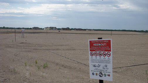 Protective boundary around a tern nesting colony