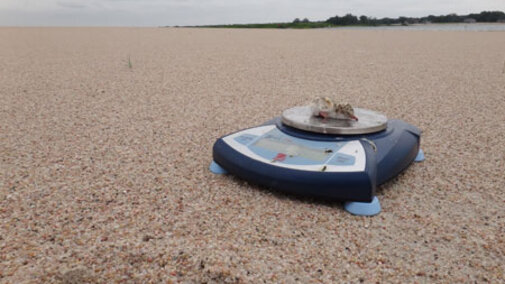 Interior Least Tern chick  on weighing scale